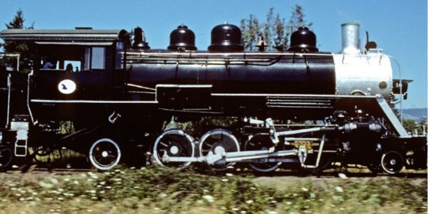 90 Ton Baldwin 2-8-2 OP&E #19, The Goose
